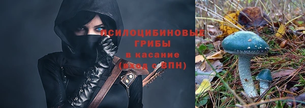 прущий лед Алексин